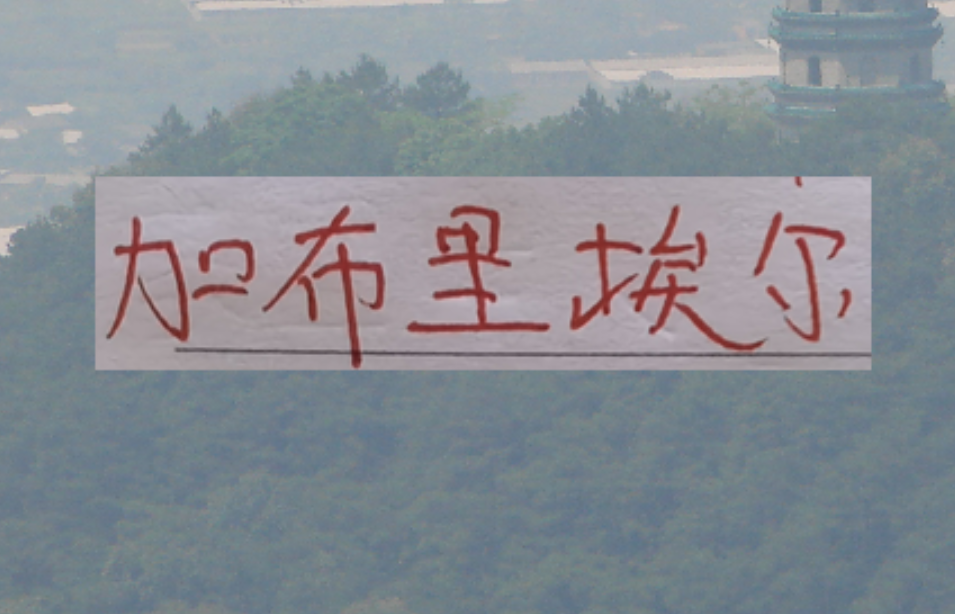 官方平台-鱼缸里的鱼又回来！海港加布里回来后 今年说实话实力是增强了